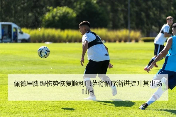 佩德里脚踝伤势恢复顺利巴萨将循序渐进提升其出场时间 | 365 bet