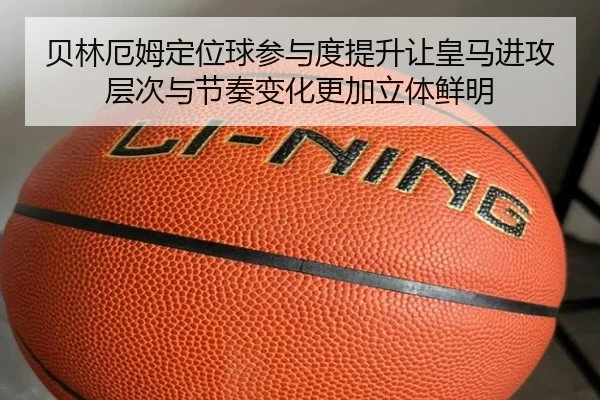 img_1783705005691_345_1_459.jpg